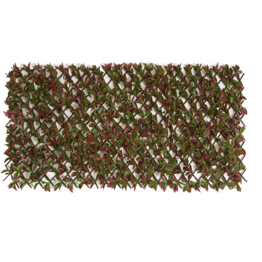 Wonderwall Red Beech Trellis 100X200CM
