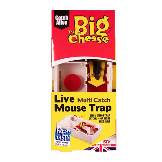 BIG CHEESE LIVE MULTI CATCH MOUSE TRAP