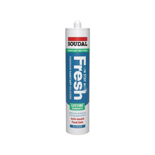 Load image into Gallery viewer, SEAL STAY FRESH ACETOXYL SILICONE CLEAR 290ML
