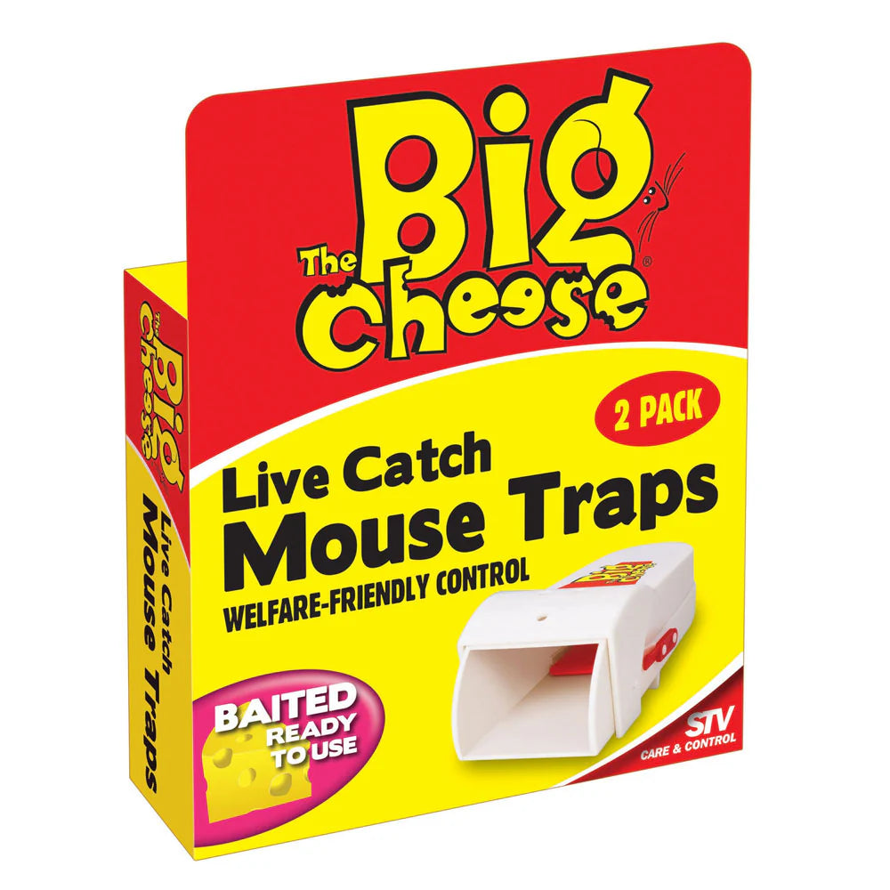 AMA LIVE CATCH MOUSE TRAP 2PK