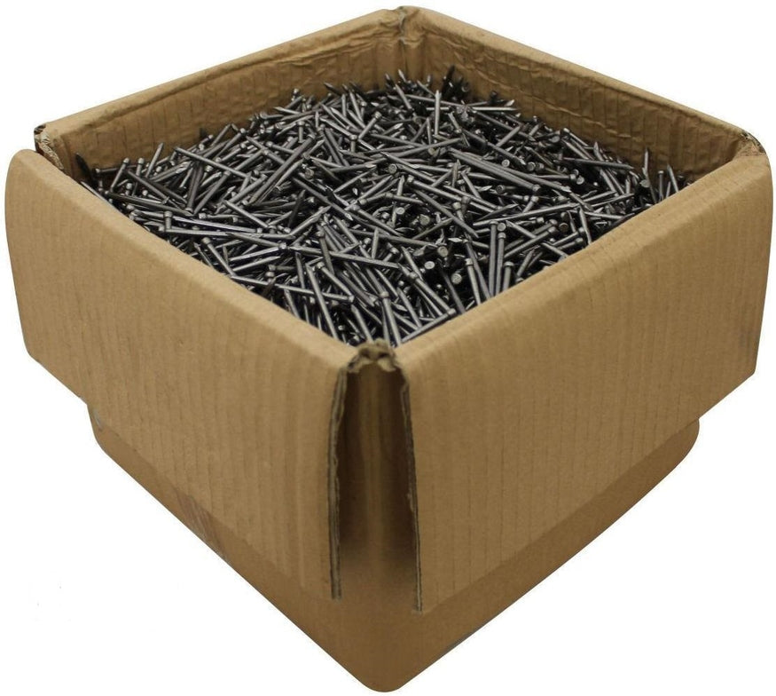 IWP ROUND WIRE NAIL 100MM 10KG