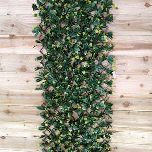 LAUREL leaf 180X60CM TRELLIS