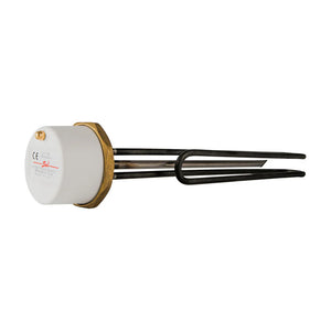 1&1/2" BSP HEAD S/S CYL IMMERSION 14"