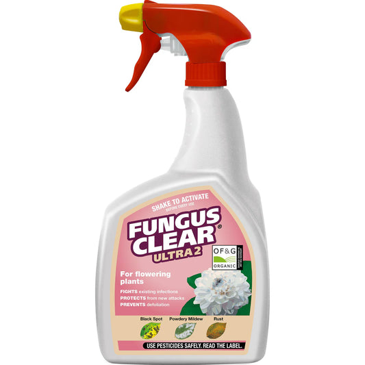 TPW FUNGUS CLEAR GUN 800ML