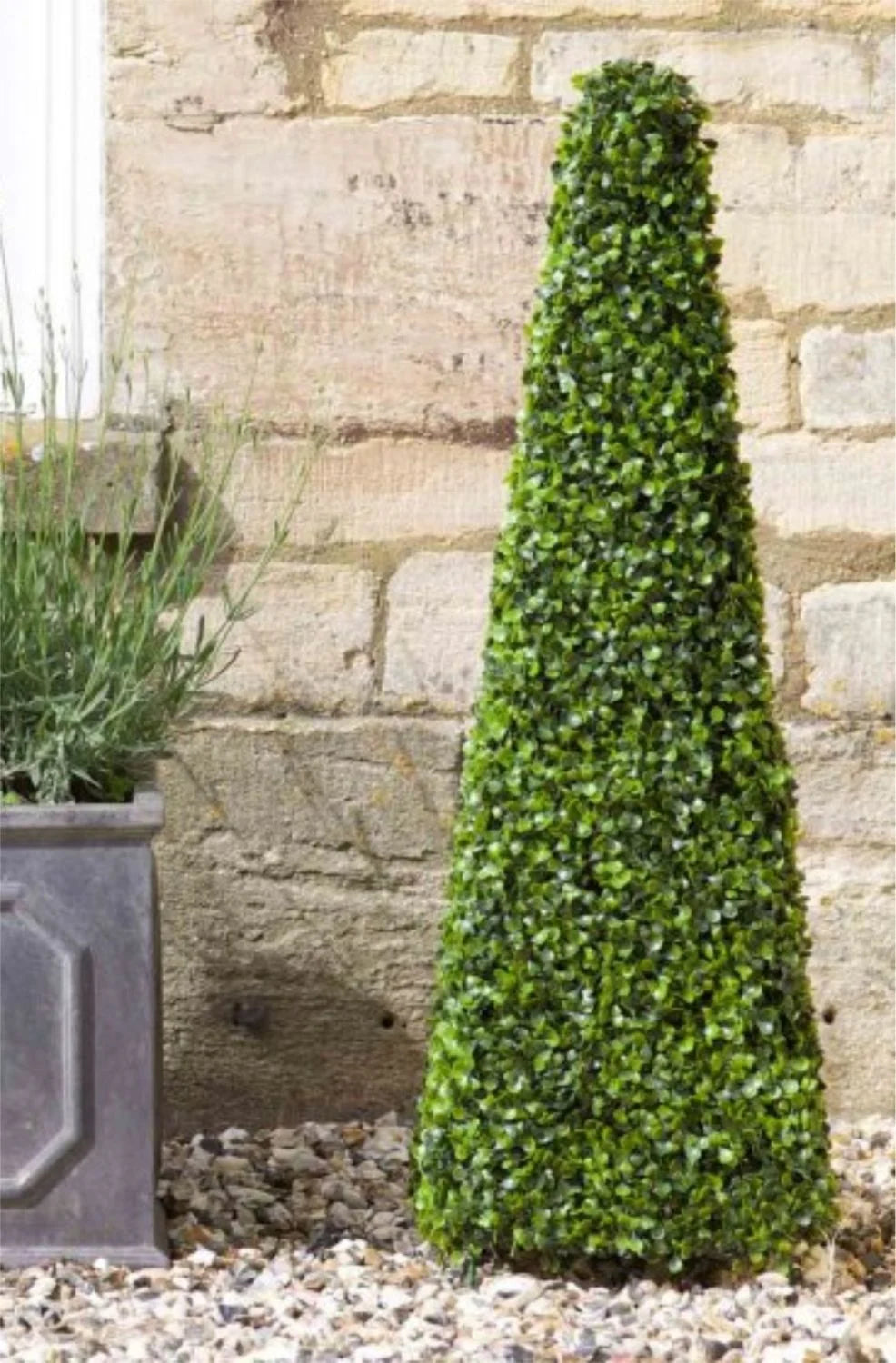 5045040 90CM BOXWOOD OBELISK TOPIARY