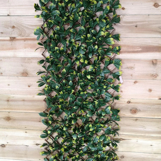 LAUREL leaf 180X60CM TRELLIS