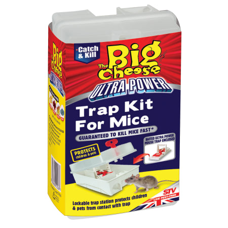 BIG CHEESE MOUSE TRAP STATION
