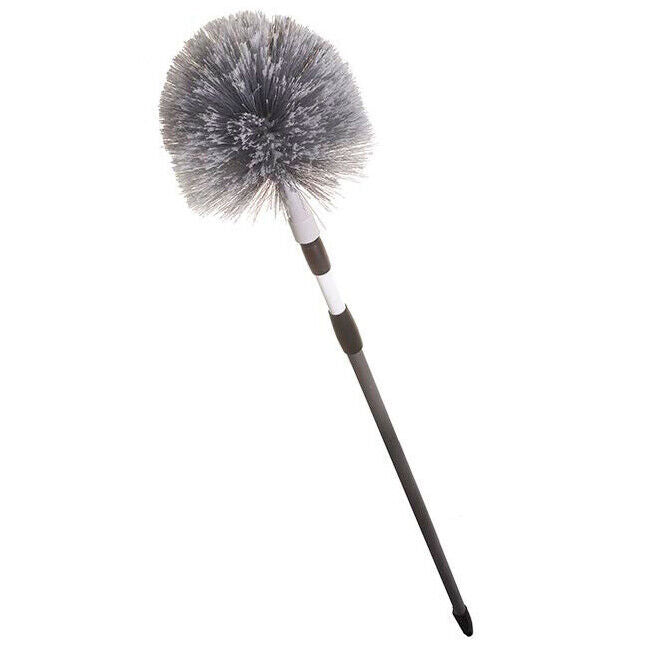 DLYNCH EXTENDING COBWEB BRUSH