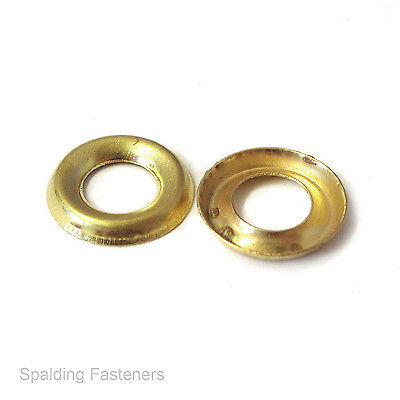 CORRY PHX NO 10 SC WASHER 20PK