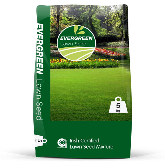 5KG EVERGREEN lawnseed