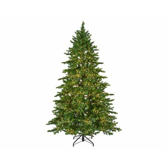 EVERLANDS GALLOWAY PRE LIT SPRUCE  TREE 7FT